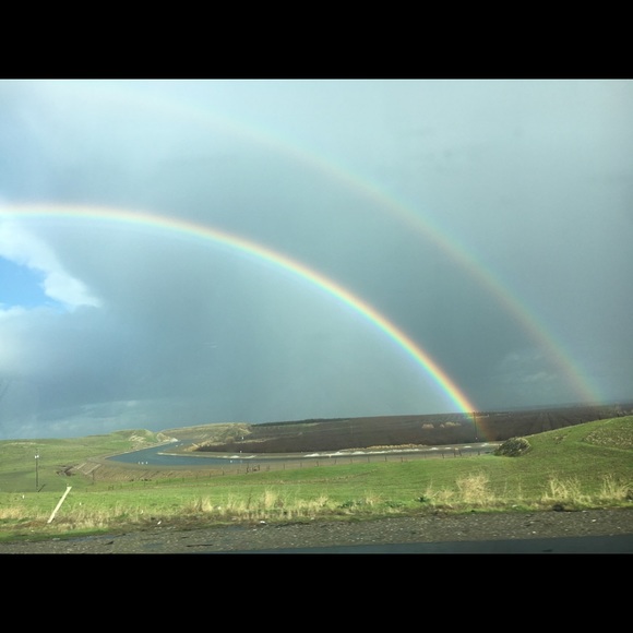 Meet your Posher, Lilly - Picture 1 of 1